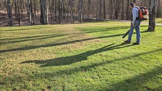 Dethatching and lawn clean up [upl. by Doane]