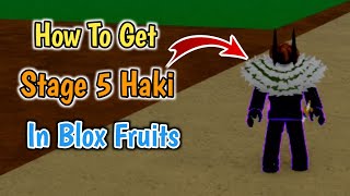 How To Get Stage 5 Haki In Blox Fruits 2024  Stage 5 Haki Guides [upl. by Perrin192]