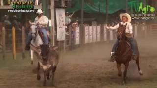 XV Válida Nacional de Vaquería Colombiana La Pintada Antioquia  TvAgro por Juan Gonzalo Angel [upl. by Seiber]