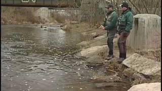 Bottom Bouncing for Steelhead  How To Bottom Bounce Flies [upl. by Adel845]