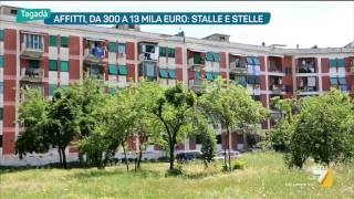 Affitti da 300 a 13 mila euro stalle e stelle [upl. by Wilinski]