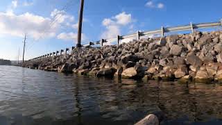 Live Lake Guntersville Bass fishing [upl. by Pantin204]