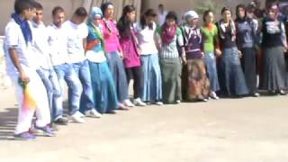 ŞERİZDİN  MARDİN  BAĞLICA  KÖYÜ 20102010  KURDİSH HALAY [upl. by Merri438]