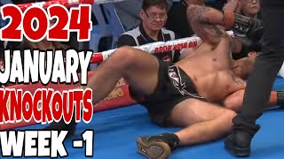 MMA amp Boxing Knockouts I January 2024 Week 1 [upl. by Oilut275]