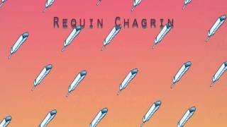 Requin Chagrin  Adelaïde [upl. by Vogele437]