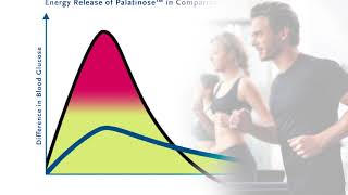 Energy Release of Palatinose™ in Comparison to Sucrose [upl. by Esiuol522]