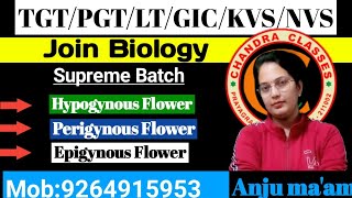 TRICKS TO LEARN HypogynousPerigynous and Epigynous Flower II TGT II PGT II LT II GIC BIOLOGY [upl. by Viking]