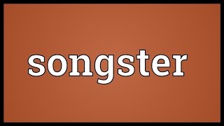 Songster Meaning [upl. by Iadrahs884]