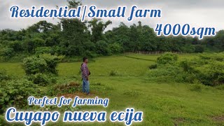 lot416 Small farm good for residential farm 4000sqm wright of way 600k price cuyapo nueva ecija [upl. by Ynamrej238]