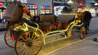 Horse Carriage Ride San Antonio [upl. by Danete]