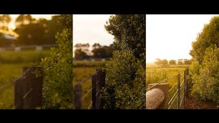 TTArtisan Lens Comparison  100mm 50mm 35mm 10mm [upl. by Seebeck]