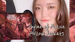 【vocal cover】Shrine of Malice  Hollow Sockets [upl. by Ursel]