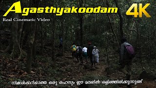 Agasthyarkoodam Trekking 4K [upl. by Jeffie]