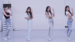 PRIMROSELAFFY TAFFYdance practice mirrored [upl. by Dnomzed]