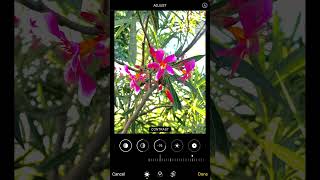 New iphone Photo Editing Hack Tutorial 3 [upl. by Cynarra]