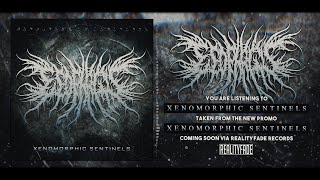 ESOPHAGUS  XENOMORPHIC SENTINELS SINGLE 2020 SW EXCLUSIVE [upl. by Balough289]