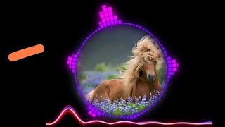 Lakdi Ki Kathi Dj Remix Full Song In Hindi 🐴🐴 [upl. by Ainolopa689]