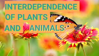 FORESTOUR LIFE LINE CLASS 7 INTERDEPENDENCE OF PLANTS AND ANIMALS [upl. by Booze]