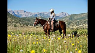 Jagster 2013 AQHA Gelding is Lot 40 consigned to the Fall Round Up Horse Sale [upl. by Nagam]