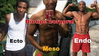 Descubra QUAL SEU BIOTIPO CORPORAL hectomorfo mesomorfo ou endomorfo [upl. by Jordana563]