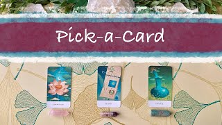 What You Need To Know Timeless Pick a card Tarot Reading [upl. by Eiclek171]