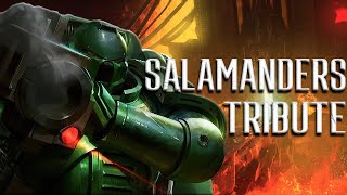 Salamanders Tribute  Anvil of War [upl. by Eedolem]