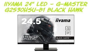 Présentation iiyama GMASTER G2530HSUB1 Black Hawk FR [upl. by Allecnirp891]