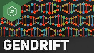 Gendrift  Flaschenhalseffekt Gründereffekt – Evolutionsfaktoren 2 [upl. by Llenrap]