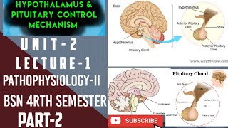 Hypothalamus amp Pituitary Control mechanismLecture1Unit2Endocrine amp Metabolic Disorderspart 2 [upl. by Laekcim]