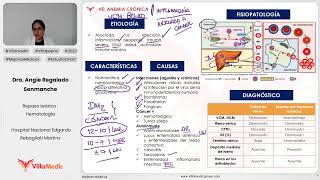 ANEMIA CRÓNICA  HEMATOLOGÍA  VILLAMEDIC [upl. by Eiramesor331]