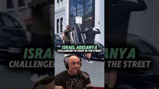 When Israel Adesanya was challenged  Joe Rogan joerogan jre jreclips [upl. by Baylor112]