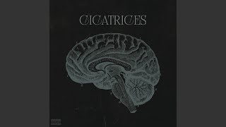 Cicatrices [upl. by Alyson]