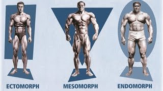 Ectomorph Endomorph Mesomorph How To Train amp Eat For YOUR Body Type [upl. by Ferdie]