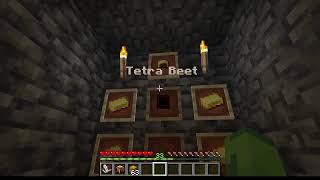 Minecraft Server Manual and What To Do With Beets [upl. by Irehc900]