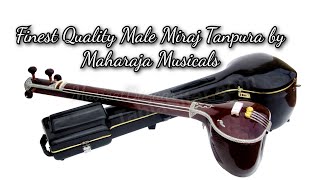 Exploring Male Miraj Tanpura Tone  MKS Tanpura  Tanpura Tuning [upl. by Otrebmuh]