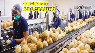 Inside COCONUT Processing in Modern Factory  Coconut Oil Milk and Flour  Coconut Process Plant [upl. by Suravart284]