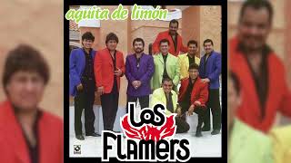 Los Flamers  Huele A Quemao Visualizador Oficial [upl. by Mohammed]