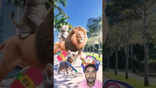 Cute Cat Ka kinder Joy Chori Karne Aaya Tha Lion cute cat kinder joy lion cartoon shorts [upl. by Avictor]