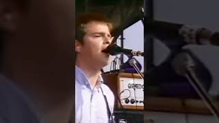 Pink Triangle by Weezer live at Bizarre Festival 1996 music weezer shorts [upl. by Hoffmann188]