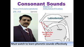 consonant sounds labiodental f v part 1 [upl. by Olihs]