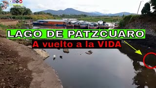 REVIVE EL LAGO DE PATZCUARO Y ENCONTRAMOS ALGO IMPRESIONANTE EN EL MUELLE SAN PEDRITO [upl. by Assirialc]