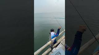 Sempat Viral Pria berjalan di Atas Air Ternyata Ini yang Sebenarnya Terjadi fishing shortvideo [upl. by Silden]