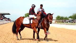 FUTURITY MILLONARIO HIT  9 EL MANO DE GATO VS LA CATRINA 300 YDS [upl. by Gardy]