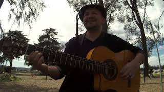 Volare gipsykings cover By Aaron Copenhaguen  shorts short gtr [upl. by Dranoel]