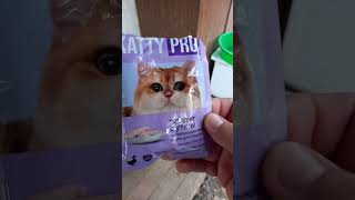 Surprise225 shorts Mel the cat eats duck pate [upl. by Nahtiek]