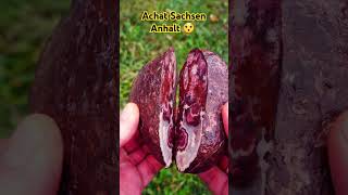 Achat Stein Achat sammeln agate stone thunder egg minerals nature beautiful gemstone [upl. by Heddi401]