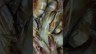 Cook Shrimp recipe food shorts short fyp shortsviral reels [upl. by Todd]