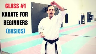 Martial Arts for Beginners – Lesson 1  Basic Karate Cobra Kai Techniques [upl. by Anoif647]