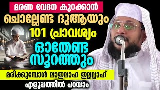 മരണ വേദന കുറക്കാൻ ചൊല്ലേണ്ട ദുആയും101 പ്രാവശ്യം ഓതേണ്ട സൂറത്തും │ Noushad Baqavi maranavedhana [upl. by Negyam900]