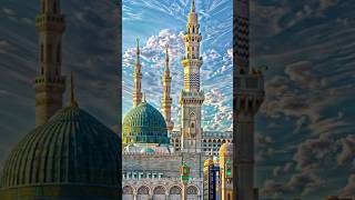 Madina 4k stutus shorts viralvideo madina [upl. by Itin853]